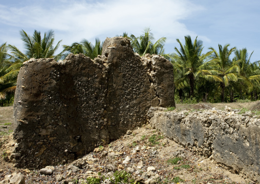 Pujini ruins, Pemba, Tanzania
