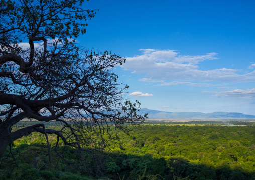 Tanzania, Park Manyara, Arusha, landscape with clouds