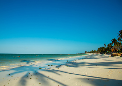 Tanzania, Zanzibar, Jambiani, white beach with palm trees shadows