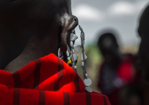 Tanzania, Ashura region, Ngorongoro Conservation Area, maasai beaded earring worn by women