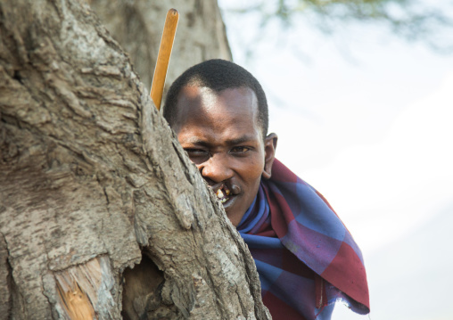 Tanzania, Ashura region, Ngorongoro Conservation Area, maasai man with harelip hidding behind a tree