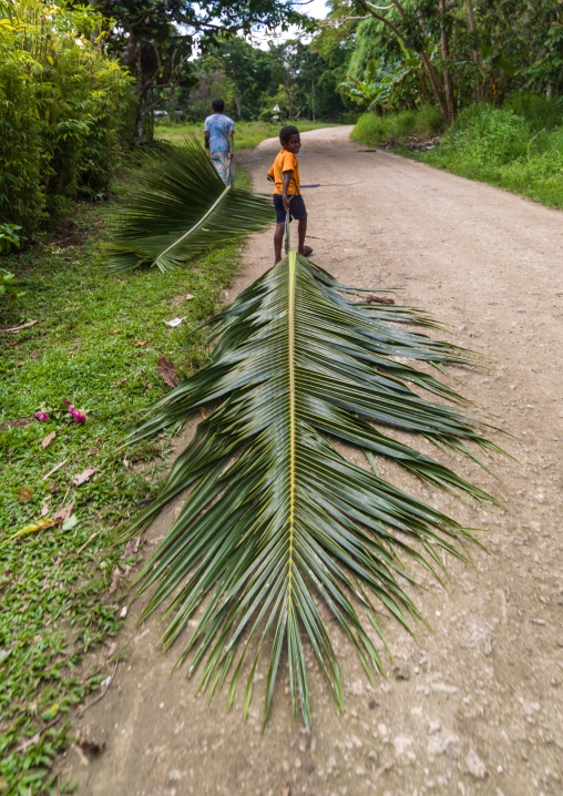 A woman and a boy carrying palm leafs on road, Shefa Province, Efate island, Vanuatu