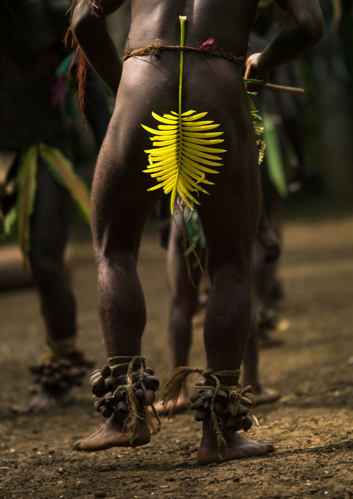 Tribesman with a yellow leaf dancing the palm tree dance of the Small Nambas tribe, Malekula island, Gortiengser, Vanuatu