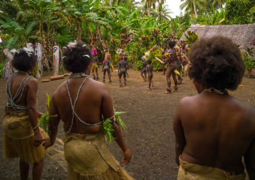 Small Nambas tribesmen covered with palm leaves dancing in front of slit gong drums during the palm tree dance, Malekula island, Gortiengser, Vanuatu