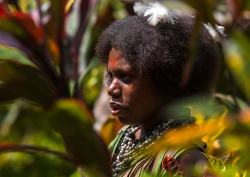 Portrait of a Small Nambas tribeswomen, Malekula island, Gortiengser, Vanuatu