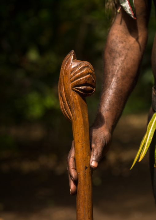 Chief walking stick cane used during the palm tree dance of the Small Nambas tribe, Malekula island, Gortiengser, Vanuatu