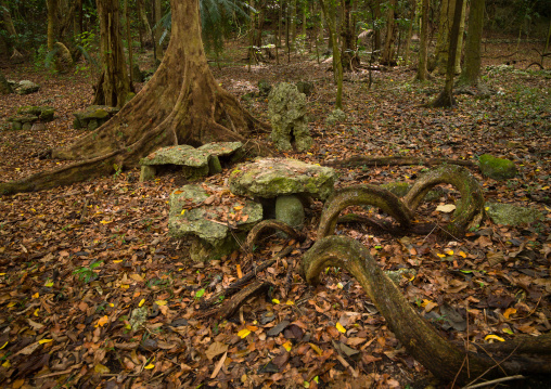 Sacrifice table in Amelbati cannibal site, Malampa Province, Malekula Island, Vanuatu