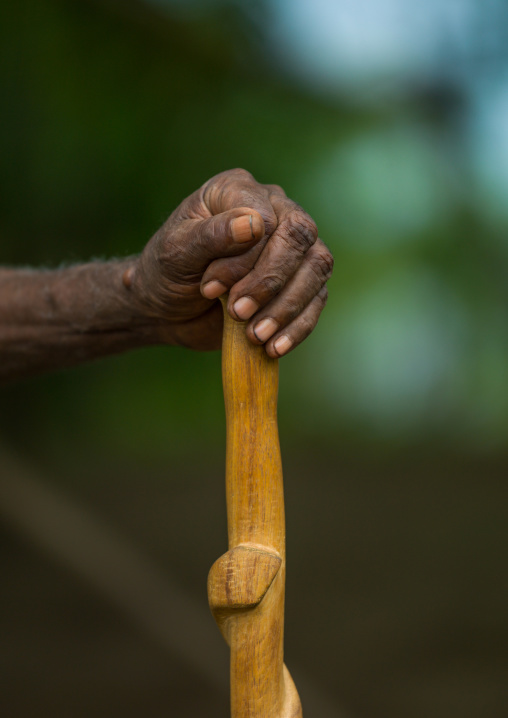Chief walking stick cane in the Big Nambas tribe, Malampa Province, Malekula Island, Vanuatu