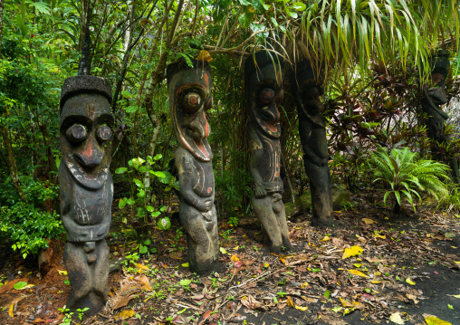 Fern tree grade figures in the jungle, Ambrym island, Olal, Vanuatu
