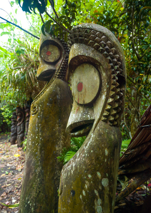 Slit gong drums in the jungle, Ambrym island, Olal, Vanuatu
