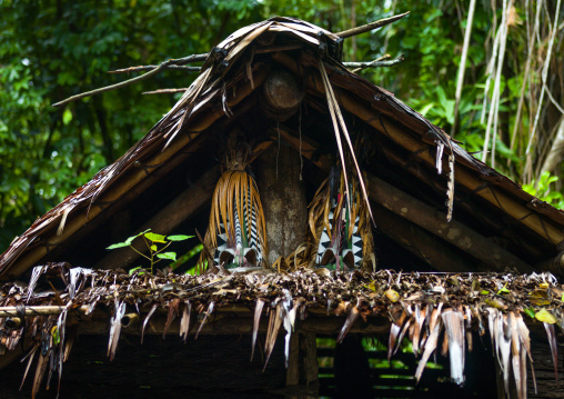Rom dance masks inside a nakamal house, Ambrym island, Olal, Vanuatu