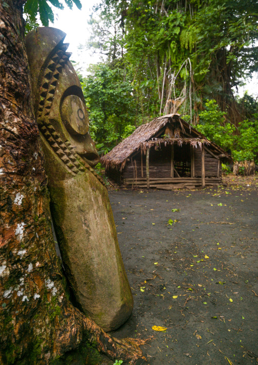 Slit gong drum in the jungle on a ceremonial ground called nasara, Ambrym island, Olal, Vanuatu