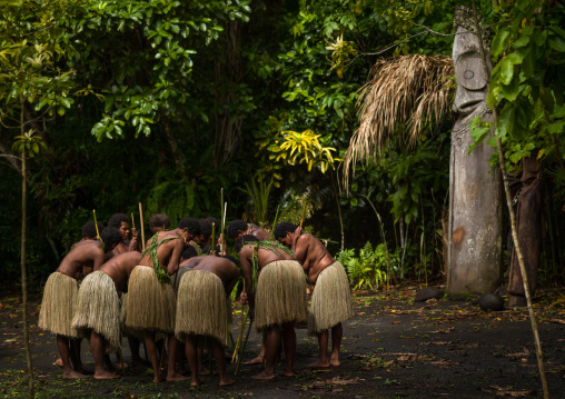 Women with grass skirts performing a Rom dance in front of a giant drum slit, Ambrym island, Olal, Vanuatu