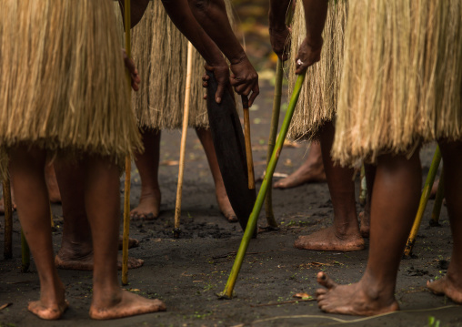 Women with grass skirts performing a Rom dance, Ambrym island, Olal, Vanuatu