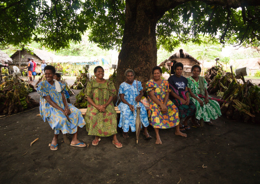 Group of women sit under a tree during a wedding, Malampa Province, Ambrym island, Vanuatu