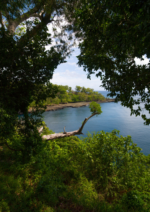 Coast along the island, Malampa Province, Ambrym island, Vanuatu