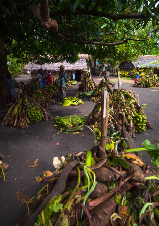 Yams roots and bananas offered as gifts for a traditional wedding, Malampa Province, Ambrym island, Vanuatu