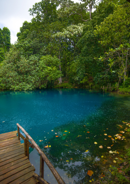 Matevulu blue hole, Sanma Province, Espiritu Santo, Vanuatu