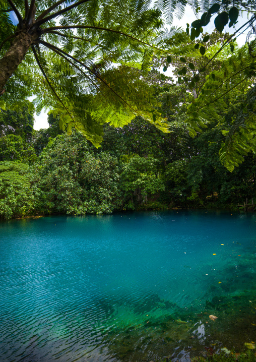 Matevulu blue hole, Sanma Province, Espiritu Santo, Vanuatu