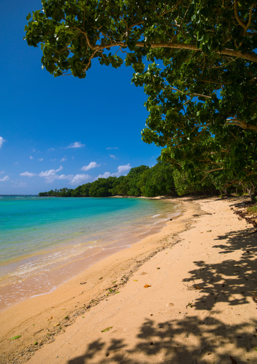 Champagne beach with turquoise water, Sanma Province, Espiritu Santo, Vanuatu