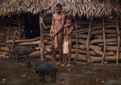 Big Nambas tribe people with their pigs in front of their house, Tanna island, Yakel, Vanuatu