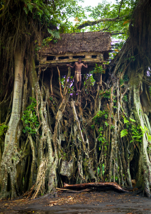 Teenage boy standing in front of a circumcision house in a giant banyan tree, Tanna island, Yakel, Vanuatu