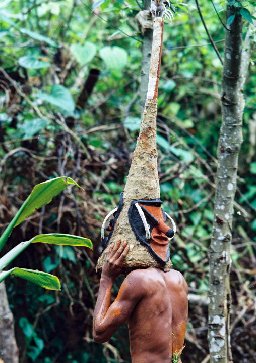 Tribesman dancing in the jungle with a helmet mask for a circumcision ceremony, Malampa province, Malekula island, Vanuatu