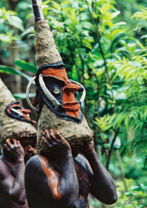 Tribesmen dancing in the jungle with helmet masks for a circumcision ceremony, Malampa province, Malekula island, Vanuatu