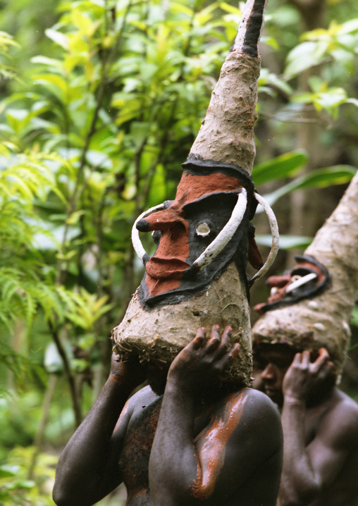 Tribesmen dancing in the jungle with helmet masks for a circumcision ceremony, Malampa Province, Malekula Island, Vanuatu