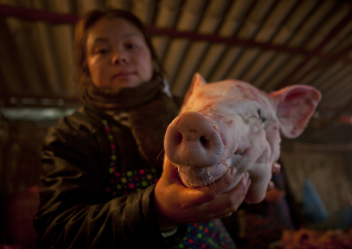 Woman showing a pig s head at sapa s marketplace, Vietnam