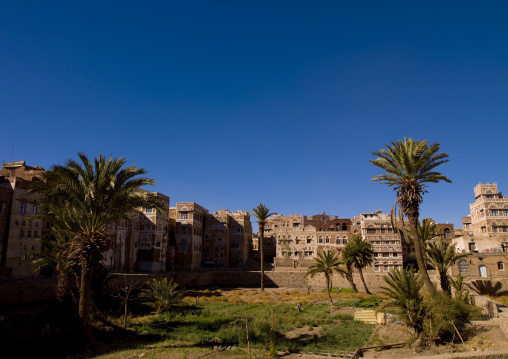 Gardens In Old Town Surrounded By Storeyed Tower Houses Built Of Rammed Earth,sanaa, Yemen