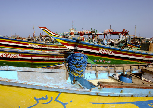 Colourful Dhows In Al Hodeidah, Yemen