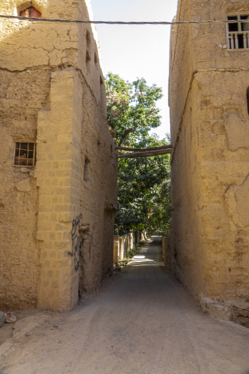 Narrow alley between tall mudbrick houses opening onto a leafy tree at the far end, Ad Dakhiliyah Region, Al Hamra, Oman