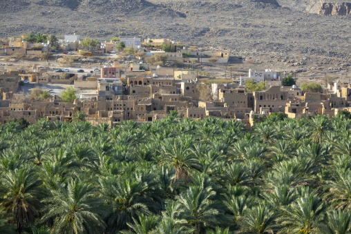 Wide view of the inhabited mudbrick village of Misfat al Abriyyin with parked cars and a red painted house rising above a dense palm grove, Ad Dakhiliyah Region, Misfat al Abriyyin, Oman