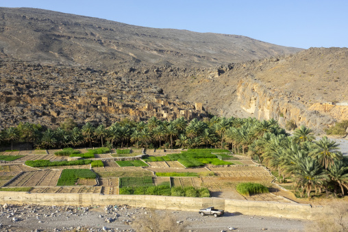 Terraced farmland with irrigation channels and a parked pickup truck below abandoned stone ruins on a rocky mountainside, Ad Dakhiliyah Region, Misfat al Abriyyin, Oman
