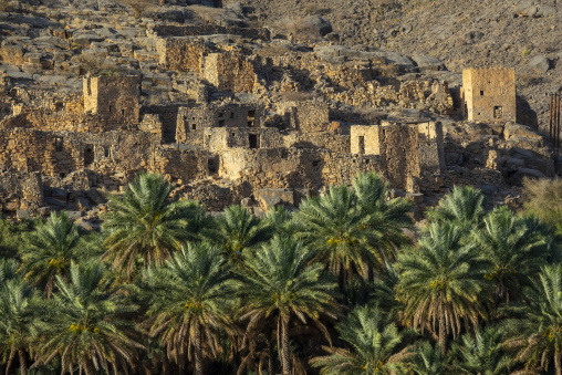 Close view of crumbling stone ruins and watchtowers of an abandoned mountain village rising above a palm grove, Ad Dakhiliyah Region, Misfat al Abriyyin, Oman