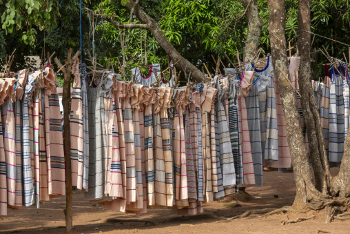 Hand-woven Senufo cotton dresses hang to dry between trees at a street market, Savanes district, Waraniene, Ivory Coast