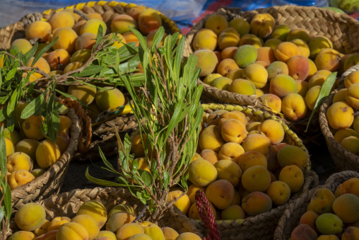 Baskets filled with freshly picked apricots displayed with green leafy branches at a market stall, Ad Dakhiliyah Region, Nizwa, Oman