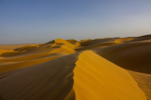 Rolling golden sand dunes with rippled textures under a pale sky, Dhofar Governorate, Rub al Khali, Oman