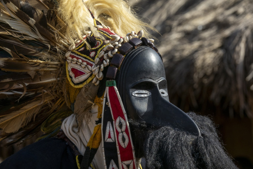 A beaded headband and cowrie shells frame a Dan tribe sacred mask during a ceremonial dance, Bafing, Gboni, Ivory Coast
