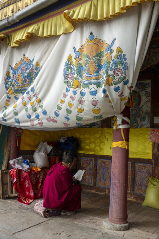 A monk sits reading scripture beneath a painted deity curtain at Shachong monastery, Qinghai Province, Wayaotai, China