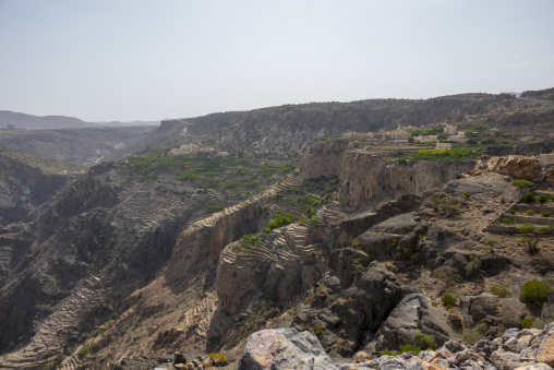 Terraced gardens carved into steep canyon cliffs with a distant village, Jebel Akhdar, Sayq, Oman