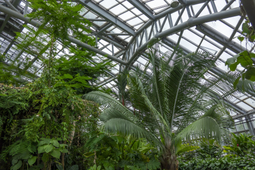 Kyoto Botanical Gardens